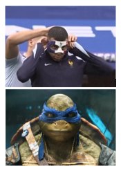 Mbappe vs Turtle ninja Meme Template