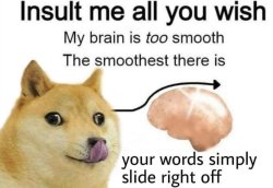 Smooth Brain Doge Meme Template