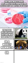 cultured meat Meme Template