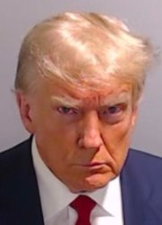 DONALD Meme Template