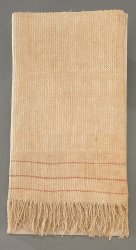 Confederate dishrag of surrender Meme Template