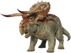 Female Nasutoceratops 3 Meme Template