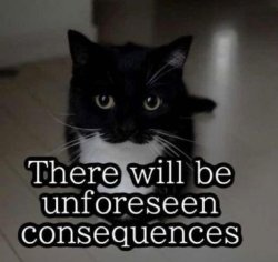 There will be unforeseen consequences Meme Template