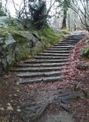 Stone steps nature path Meme Template