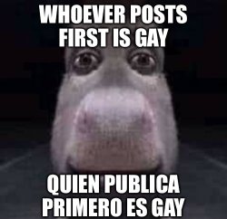 Whoever posts first is gay Meme Template