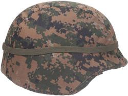 PASGT US-Helmet with helmet-band Meme Template