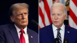 Trump & Biden Meme Template