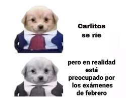 Carlitos perrito con traje Meme Template