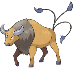 Tauros (Normal Breed) Meme Template