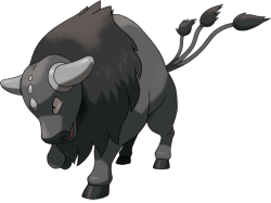 Paldean Tauros (Combat Breed) Meme Template