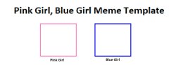 Pink Girl Blue Girl Meme Template Meme Template