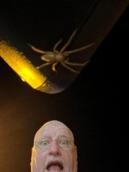 Spider Guy Shocked Face Meme Template