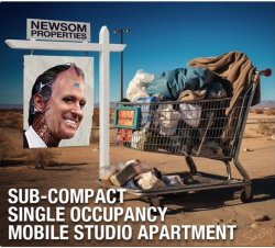 Newsom properties Meme Template