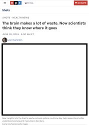 Scientists Find Brain Trash Meme Template