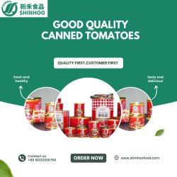 Good Quality Canned Tomatoes Meme Template
