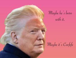 Trump maybe COVFEFE Meme Template