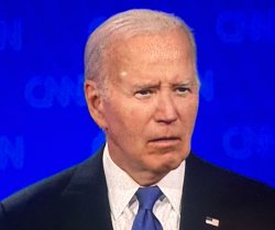 Confused biden Meme Template