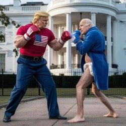 Trump vs Biden Diaper Meme Template
