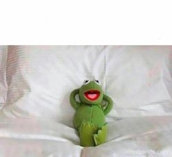 Kermit laying in bed Meme Template