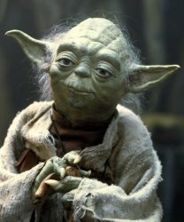 Yoda FAFO Meme Template