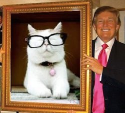 Catturd with Trump Meme Template