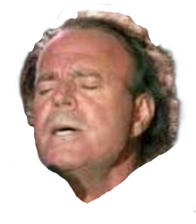 Cabeza de julio iglesias cara jeta de extasiado Meme Template