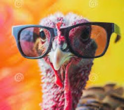 Turkey with glasses Meme Template