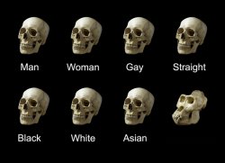 skull comparison Meme Template