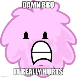 Puffball damn bro it really hurts Meme Template