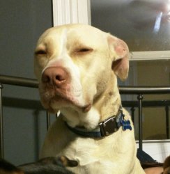 What is wrong with you Meme Template