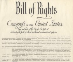 Bill of Rights Meme Template