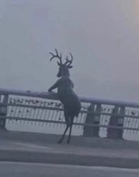 Oh deer Meme Template