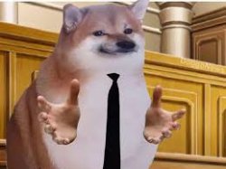 Doge Court Meme Template