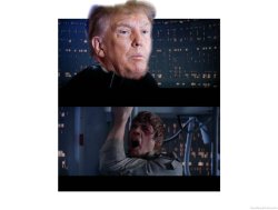 Star Wars Trump No Meme Template