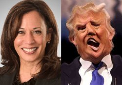 Kamala Harris sane, Donald Trump crazy on acid Meme Template