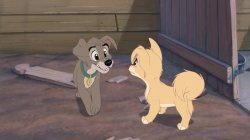 Lady And The Tramp 2 Meme Template