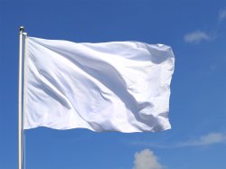 Your flag here Meme Template