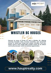 Whistler BC Houses For Sale Meme Template