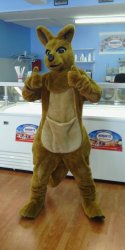 An American wearing a kangaroo costume Meme Template