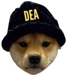 Dog Enforcement Agency Meme Template