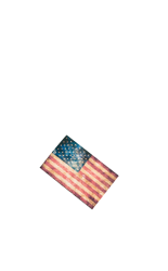 American Pride Meme Template
