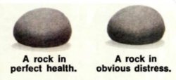 Rock in perfect health, rock in obvious distress Meme Template