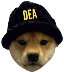 Dog enforcement agency DEA Meme Template