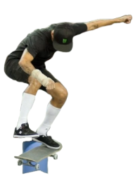 skateboarder croped Meme Template