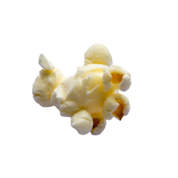 popcorn Meme Template