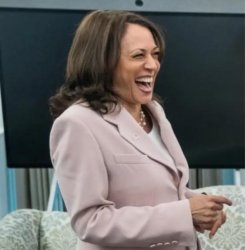 Kamala Harris Meme Template