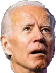 Confused Biden Meme Template