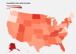 COVID cases by State 2022 Meme Template