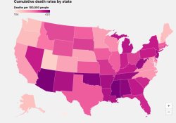 COVID deaths by State 2022 Meme Template