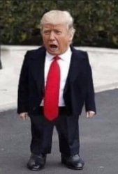 Lil B*tch Trump Meme Template